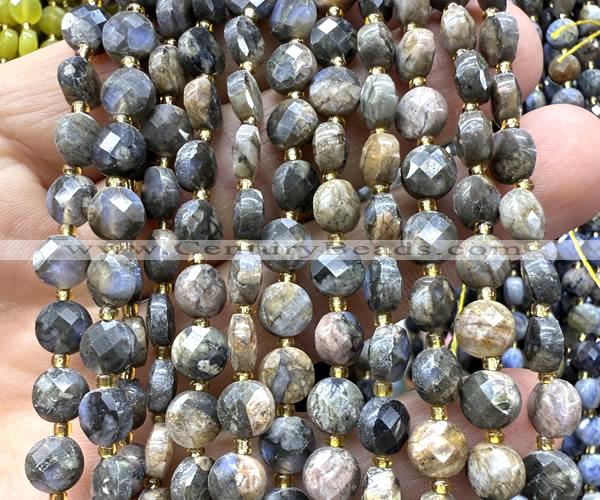 CCB1822 15 inches 6mm faceted coin grey opal gemstone beads