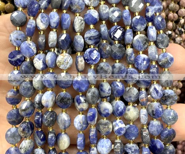 CCB1840 15 inches 6mm faceted coin sodalite beads wholesale