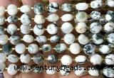 CCB1933 15 inches 8mm faceted coin tree agate beads wholesale