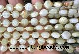 CCB1961 15 inches 8mm faceted coin Afghanistan jade beads