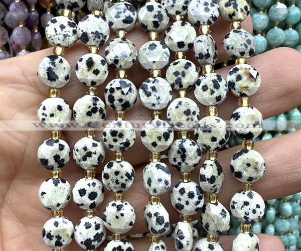 CCB1990 15 inches 8mm faceted coin dalmatian jasper beads
