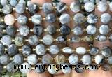 CCB2000 15 inches 8mm faceted coin eagle eye jasper beads