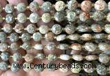 CCB2004 15 inches 8mm faceted coin Chinese unakite beads