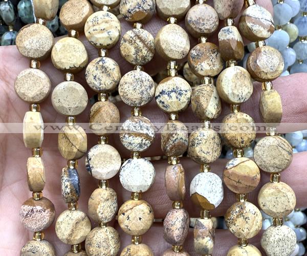 CCB2143 15 inches 10mm faceted coin picture jasper beads