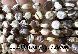CCB2160 15 inches 10mm faceted coin Australian zebra jasper beads