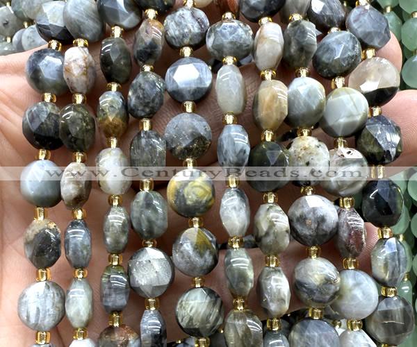 CCB2162 15 inches 10mm faceted coin eagle eye jasper beads