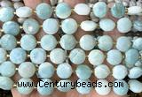 CCB2181 15 inches 10mm faceted coin amazonite beads wholesale