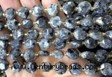 CCB2191 15 inches 10mm faceted coin black labradorite beads