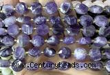 CCB2302 15 inches 12mm faceted coin dogtooth amethyst beads