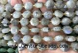 CCB2358 15 inches 12mm faceted coin labradorite gemstone beads