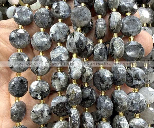 CCB2359 15 inches 12mm faceted coin black labradorite beads