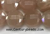 CCB683 15.5 inches 10mm faceted coin moonstone gemstone beads