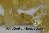 CCH292 34 inches 8*12mm citrine chips gemstone beads wholesale