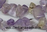 CCH314 15.5 inches 10*15mm ametrine chips gemstone beads wholesale