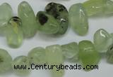 CCH318 15.5 inches 10*15mm prehnite chips gemstone beads wholesale