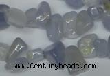 CCH322 15.5 inches 10*15mm blue chalcedony chips beads wholesale