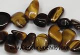 CCH327 15.5 inches 10*15mm tiger eye chips gemstone beads wholesale