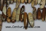 CCH345 15.5 inches 5*20mm picture jasper chips beads wholesale