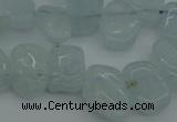 CCH606 15.5 inches 8*12mm - 10*15mm aquamarine chips gemstone beads