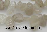 CCH622 15.5 inches 6*8mm - 10*14mm golden rutilated quartz chips beads