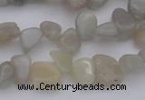 CCH625 15.5 inches 6*8mm - 10*14mm grey moonstone chips beads