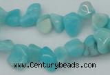 CCH631 15.5 inches 6*8mm - 10*14mm Peru amazonite chips beads