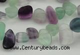 CCH635 15.5 inches 6*8mm - 10*14mm fluorite gemstone chips beads