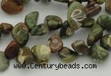 CCH637 15.5 inches 6*8mm - 10*14mm rhyolite gemstone chips beads