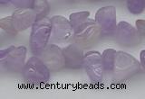 CCH641 15.5 inches 6*8mm - 10*14mm lavender amethyst chips beads