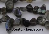 CCH642 15.5 inches 6*8mm - 10*14mm labradorite chips beads