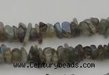 CCH645 15.5 inches 4*6mm - 5*8mm labradorite chips beads