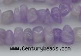 CCH648 15.5 inches 8*12mm - 10*14mm lavender amethyst chips beads