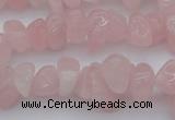 CCH654 15.5 inches 8*12mm - 10*14mm rose quartz chips beads