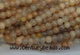 CCS301 15.5 inches 4mm round natural sunstone beads wholesale