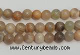 CCS302 15.5 inches 6mm round natural sunstone beads wholesale