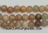 CCS303 15.5 inches 8mm round natural sunstone beads wholesale