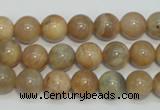 CCS304 15.5 inches 10mm round natural sunstone beads wholesale