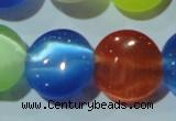 CCT526 15 inches 10mm flat round cats eye beads wholesale