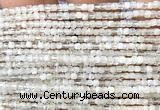 CCU1629 15 inches 2.5mm faceted cube white moonstone beads