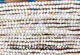 CCU1718 15 inches 2.5mm faceted cube pink queen conch shell beads