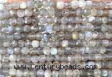 CCU1837 15 inches 4mm faceted cube labradorite gemstone beads