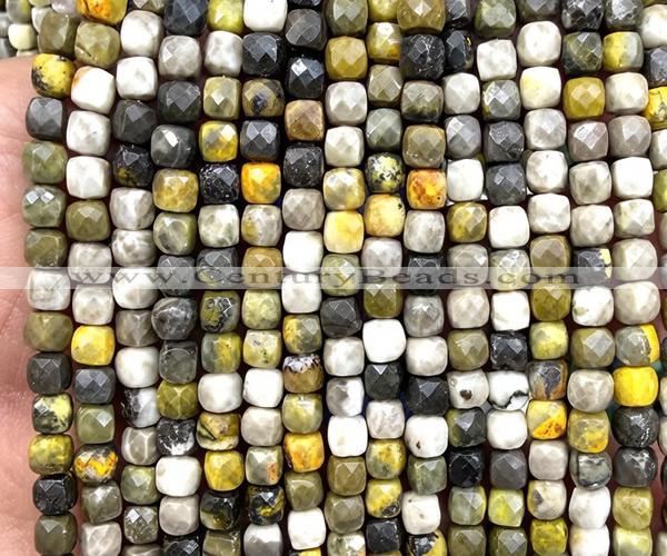 CCU1902 15 inches 4mm faceted cube honeybee jasper beads