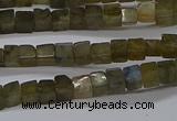 CCU311 15.5 inches 4*4mm cube labradorite beads wholesale