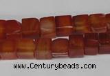 CCU67 15.5 inches 8*8mm cube red agate beads wholesale