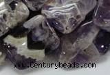 CDA06 15.5 inches 18*25mm rectangle dogtooth amethyst quartz beads