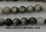 CEE353 15.5 inches 10mm faceted round eagle eye jasper beads