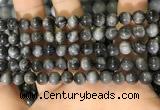 CEE519 15.5 inches 6mm round eagle eye jasper beads wholesale