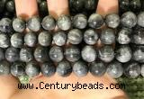 CEE521 15.5 inches 10mm round eagle eye jasper beads wholesale