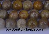 CFC202 15.5 inches 8mm round fossil coral beads wholesale