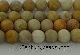 CFC221 15.5 inches 6mm round matte fossil coral beads wholesale